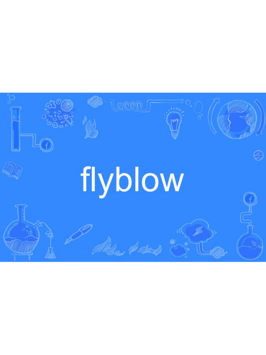flyblow flyblow