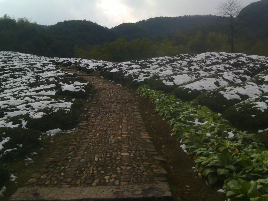 雲松嶺古道 雲松嶺古道