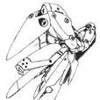 AMX-002 AMX-002