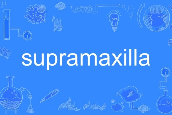 supramaxilla supramaxilla
