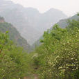 風子駝村 風子駝村