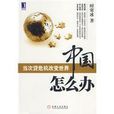 中國怎么辦:當次貸危機改變世界(中國怎么辦) 中國怎么辦:當次貸危機改變世界(中國怎么辦)