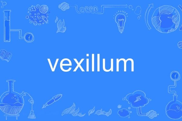 Vexillum Vexillum