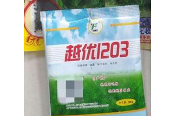 越優1203 越優1203
