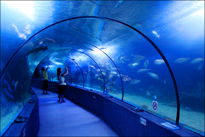 北海海底世界觀光隧道