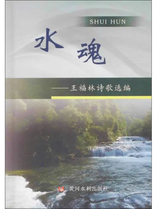 水魂(2016年黃河水利出版社出版的圖書) 水魂(2016年黃河水利出版社出版的圖書)