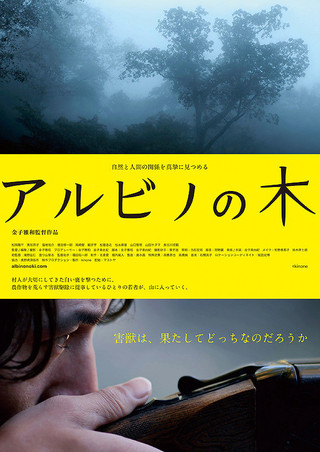 白樺林(2016年日本電影)