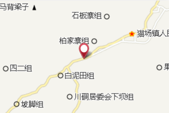 乾龍井 乾龍井