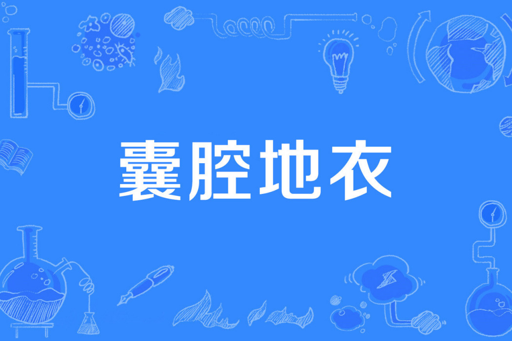 囊腔地衣