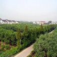 聯豐村(江蘇省蘇州市吳江區平望鎮聯豐村) 聯豐村(江蘇省蘇州市吳江區平望鎮聯豐村)