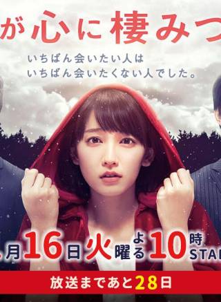 吉岡里帆(Riho Yoshioka) 吉岡里帆(Riho Yoshioka)