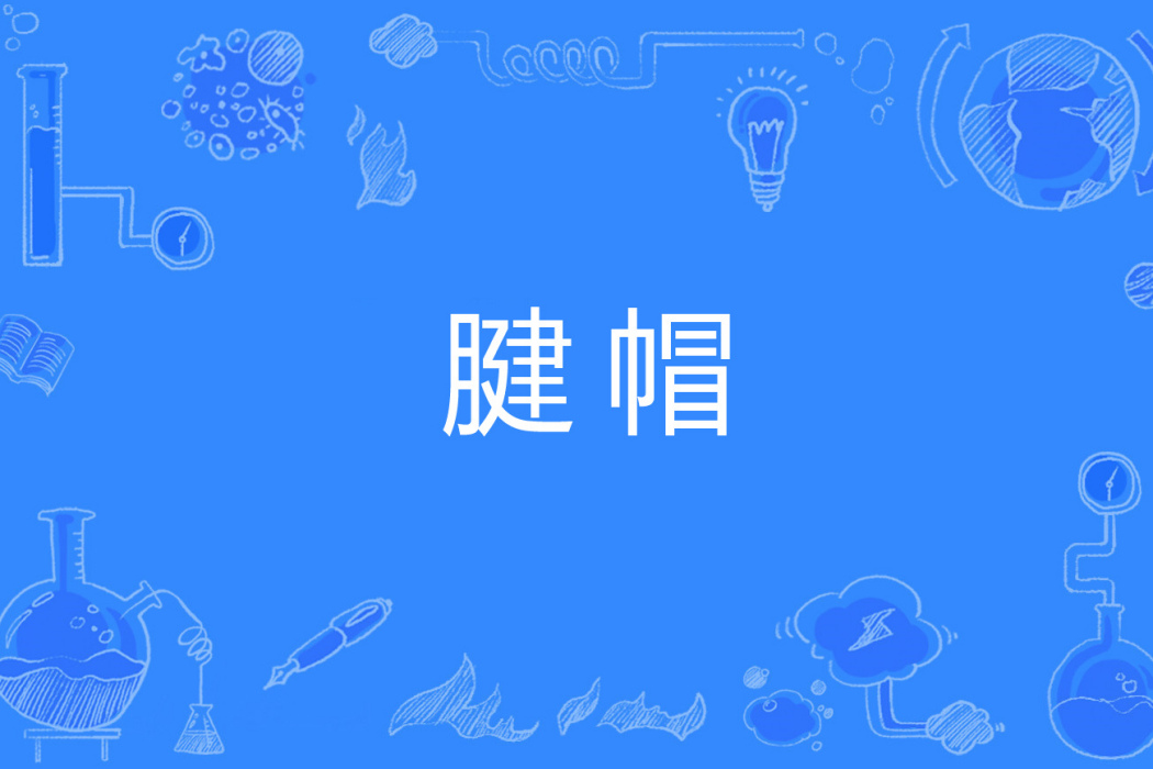 腱帽 腱帽