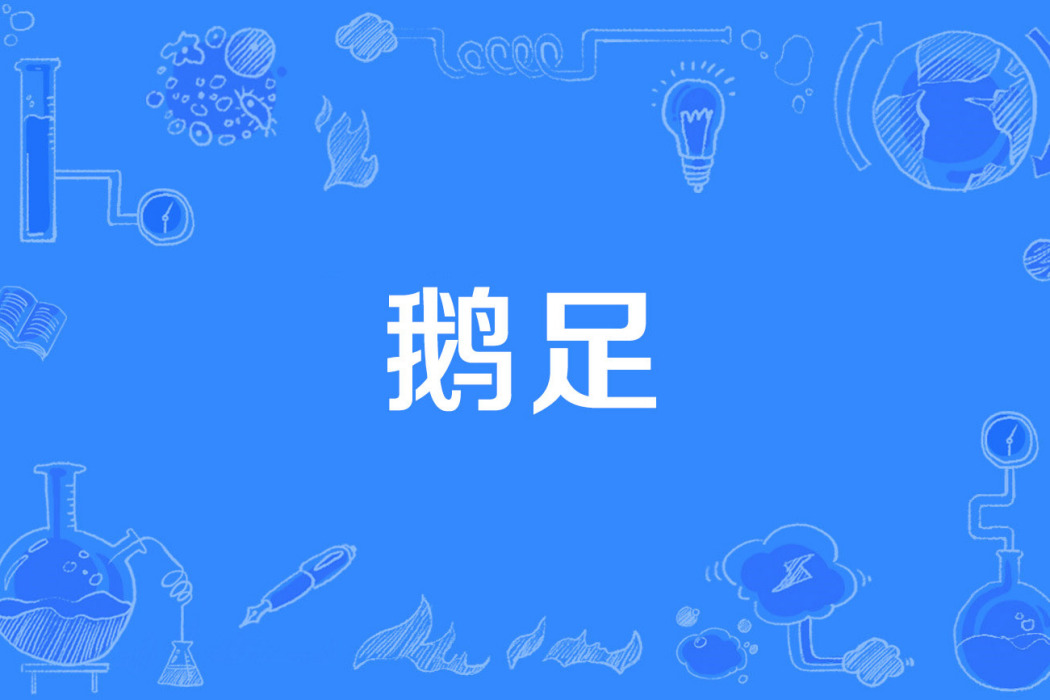 鵝足 鵝足