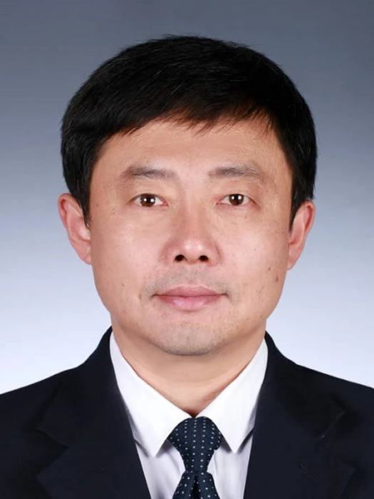 劉立輝(遼寧省瀋陽市瀋北新區輝山街道黨工委副書記)