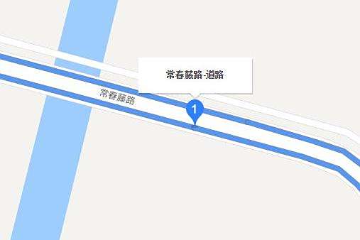常春藤路 常春藤路