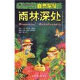 雨林深處 雨林深處