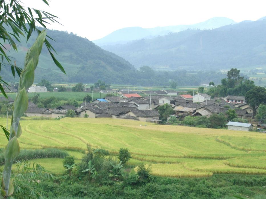 傣龍村 傣龍村