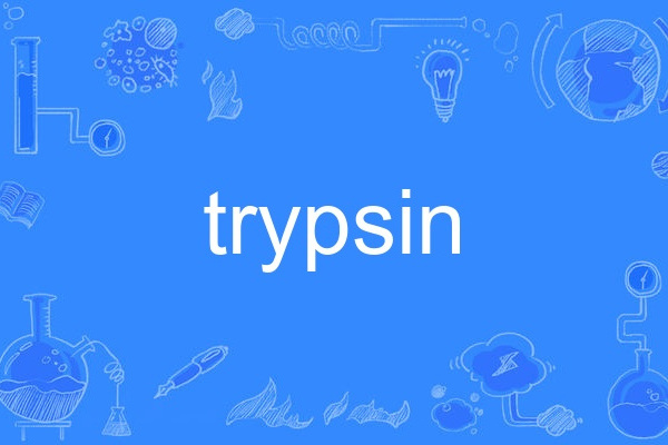 trypsin