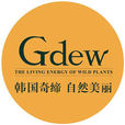 Gdew Gdew
