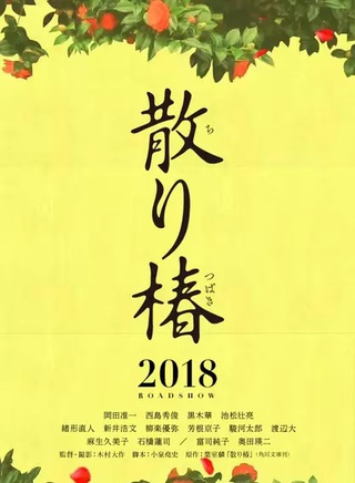 黑木華 黑木華