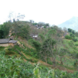 小寨村(峨山縣小街鎮樂德舊村民委員會下轄村) 小寨村(峨山縣小街鎮樂德舊村民委員會下轄村)