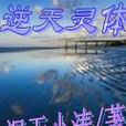 逆天靈體