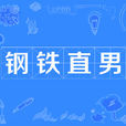 鋼鐵直男(網路流行語) 鋼鐵直男(網路流行語)