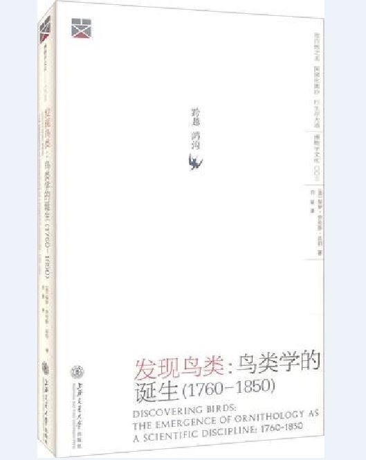 發現鳥類 發現鳥類