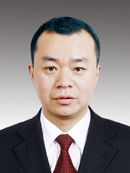 陳進元(四川省成都市大邑縣商務和投資促進局黨組成員、副局長) 陳進元(四川省成都市大邑縣商務和投資促進局黨組成員、副局長)