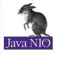 Java Nio Java Nio
