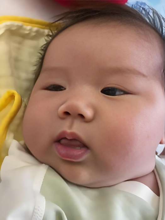 哈佛學長Ricky 哈佛學長Ricky