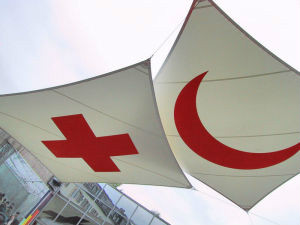 國際紅十字和紅新月運動