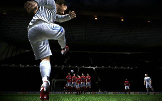 FIFA 10(fifa2010)