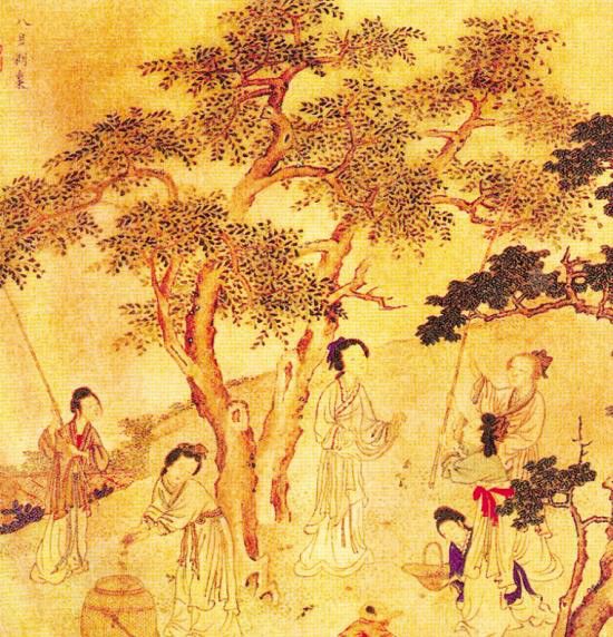 國風·檜風 國風·檜風