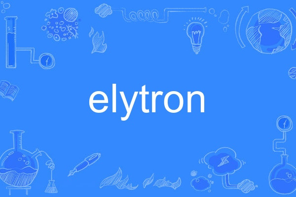 elytron elytron