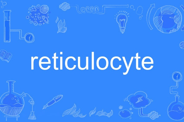 reticulocyte reticulocyte