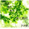 第七顆樹 第七顆樹