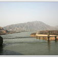 什川吊橋 什川吊橋