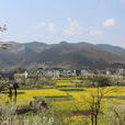 南莊村(山西省澤州縣柳樹口鎮南莊村) 南莊村(山西省澤州縣柳樹口鎮南莊村)