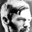 D.H.羅倫斯 D.H.羅倫斯