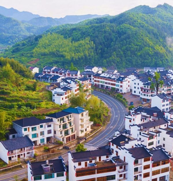 嶺五村 嶺五村