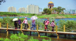 金河灣濕地植物園