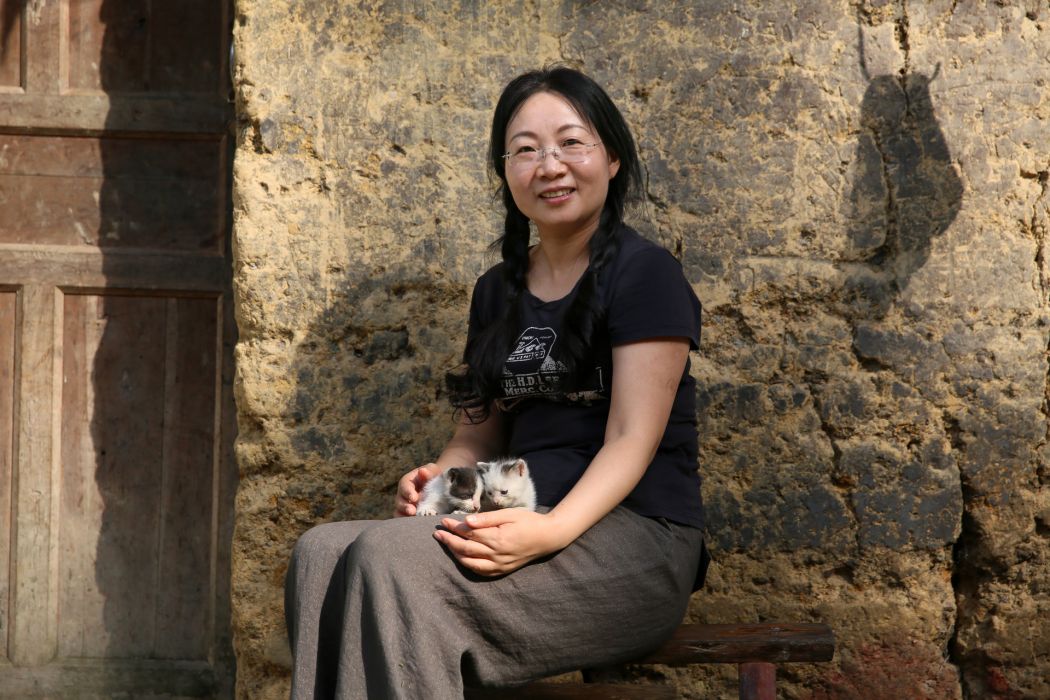 何小洲 何小洲