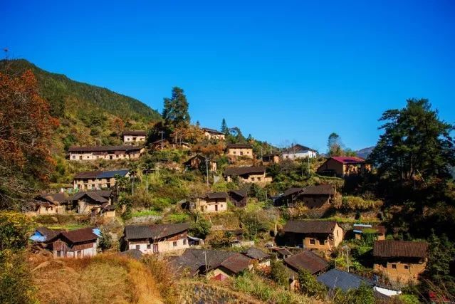 仁字坑村 仁字坑村