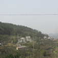 天王寺村 天王寺村