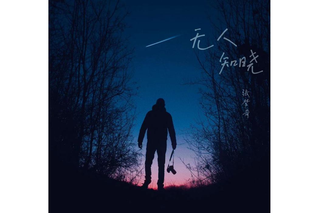 隨遇而安(張夢奇的音樂) 隨遇而安(張夢奇的音樂)