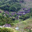 洋心村(浙江省泰順縣司前鎮洋心村) 洋心村(浙江省泰順縣司前鎮洋心村)