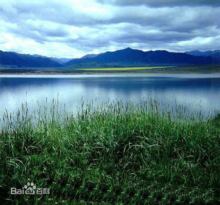 湖北洪湖國家級自然保護區