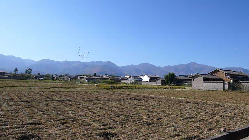 秀邑村