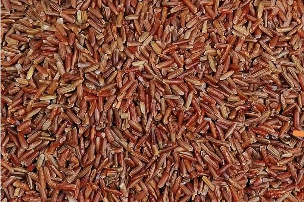 儋州紅米 儋州紅米